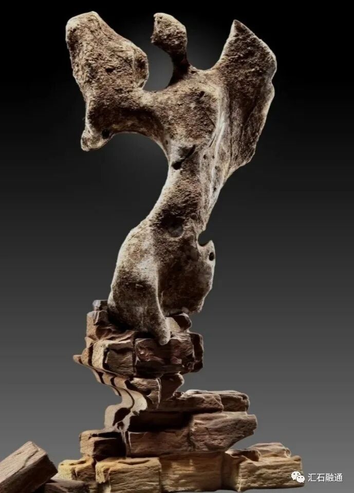 张卫：你有好石