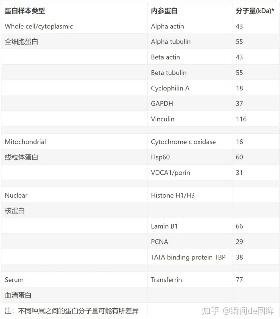 什么是特定蛋白实验中最常说的“跑个条带看看”是什么意思——Western blot ｜ 科研技术速递_https://www.jmylbn.com_新闻资讯_第3张