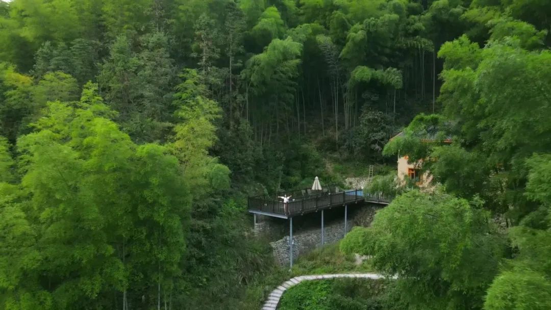无敌治愈！看完这部电视剧心情超级好！