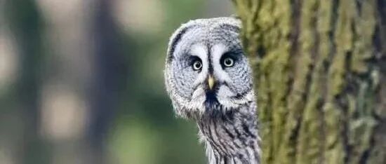 在工作场合受伤居然不算工伤？咋回事？