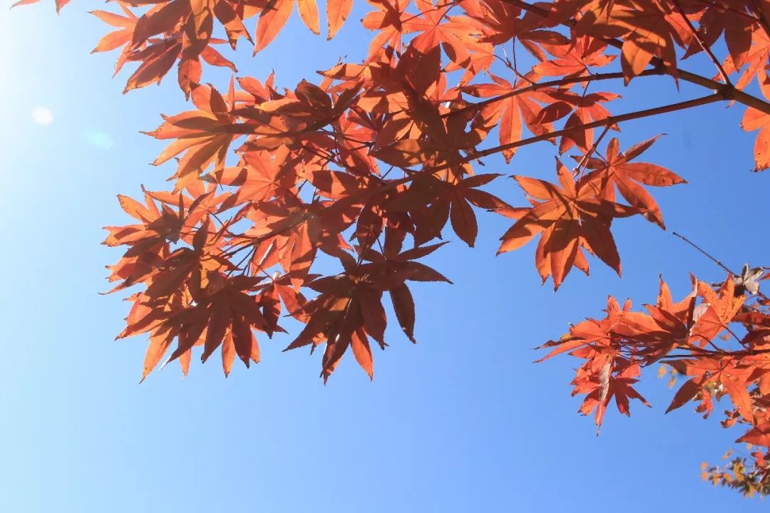 想要秋天不感冒，除了提高抵抗力，還有這些方法，老人小孩要注意 健康 第2張