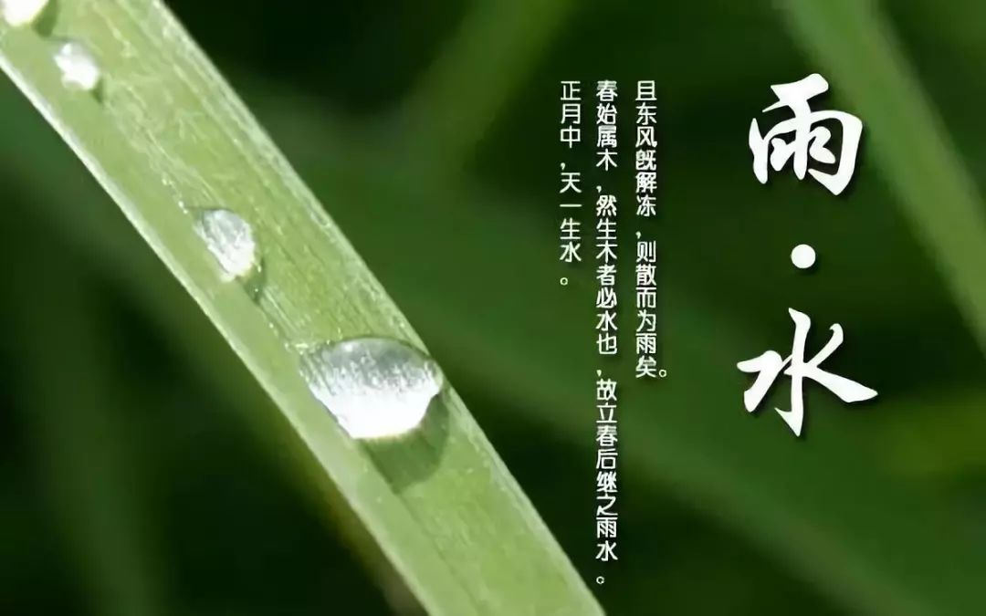 雨水 | 好雨時節，養護脾臟 健康 第1張