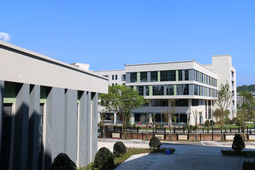 专家,与我校合作办学,用新的理念,新的模式,让沐川中学走向更高的台阶