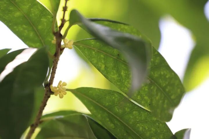 突破24小时警戒线，即将登陆！杭州已开始直面强烈风雨