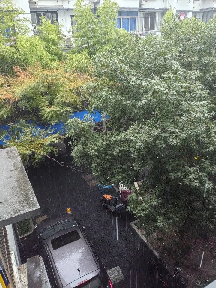 突破24小时警戒线，即将登陆！杭州已开始直面强烈风雨