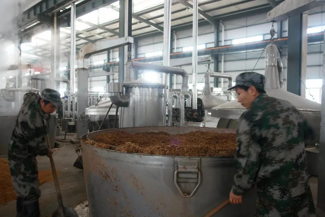 【秦洋长生酒业】荣耀时刻 || 原浆540古秦洋酒、窖藏10古秦洋酒双双斩获大奖