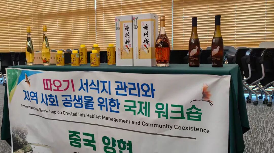 【秦洋长生酒业】借“鹮”出海 飘香日韩 || 谢村桥黄酒精彩亮相国际舞台