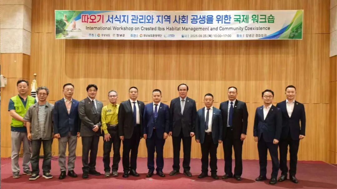 【秦洋长生酒业】借“鹮”出海 飘香日韩 || 谢村桥黄酒精彩亮相国际舞台