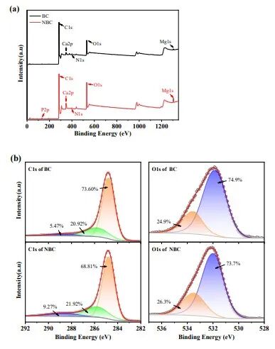 高压均质法制备的纳米生物炭提升乙二醇基冷却液的导热性