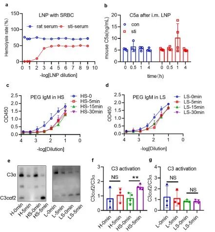 PEG抗体对LNP-mRNA疫苗体内性能的影响