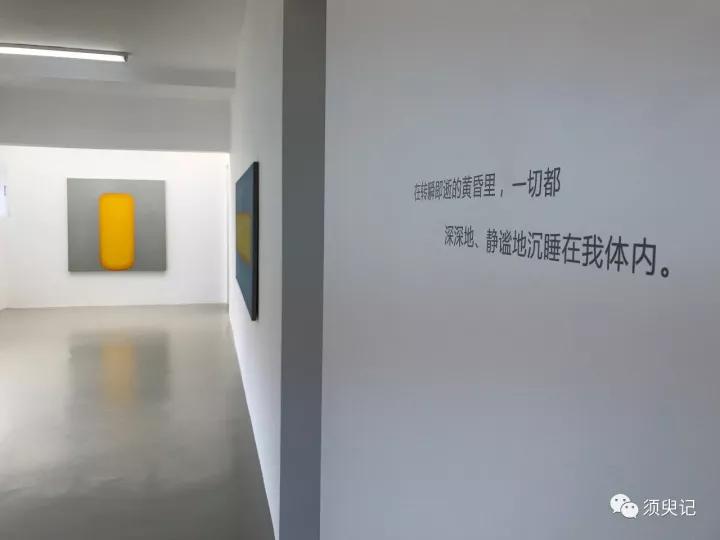 新书分享会后续丨美而悠长的回声 新书分享会后续丨美而悠长的回声
