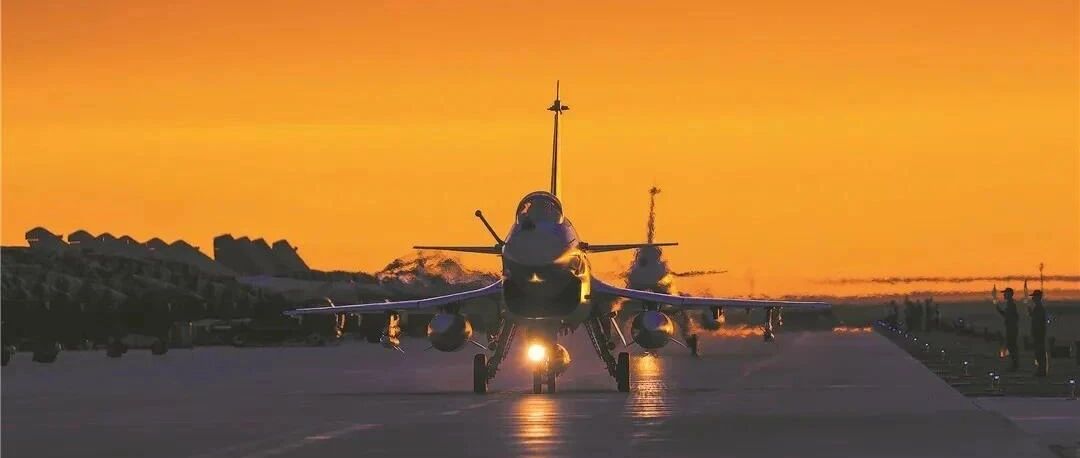 军报披露战机撞鸟事故：生死关头，飞行员3次避开居民区