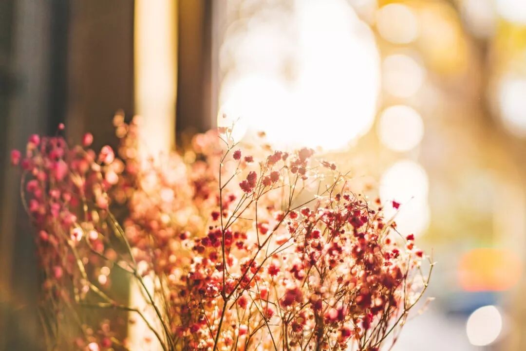 淡，是人生最浓的底色