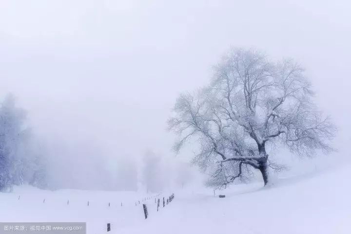 大雪:晚来天欲雪,能饮一杯无?