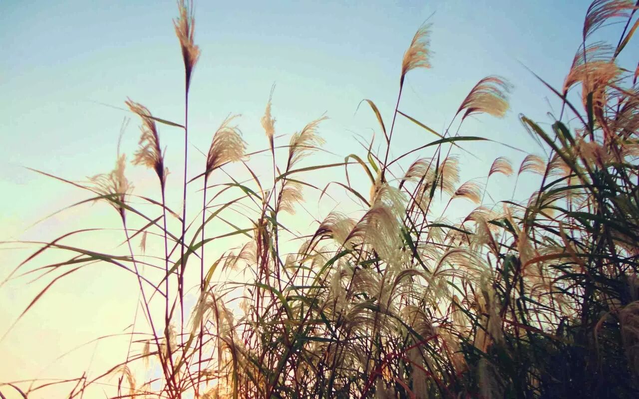 20171107154401_wcxa9o6gtr.png?v=1762063364432