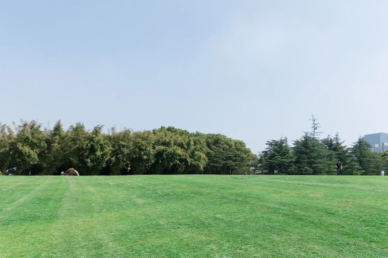 《黄帝内经》：顺应春天，向阳而生，护肝养心