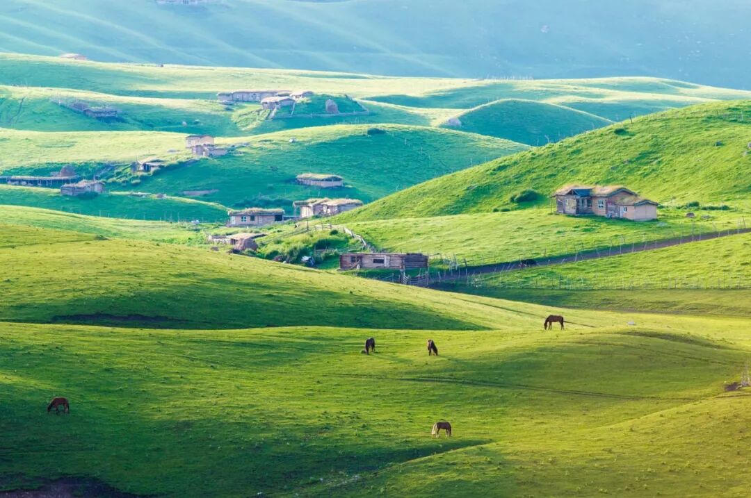 640?wx_fmt=jpeg&tp=webp&wxfrom=5&wx_lazy=1&wx_co=1