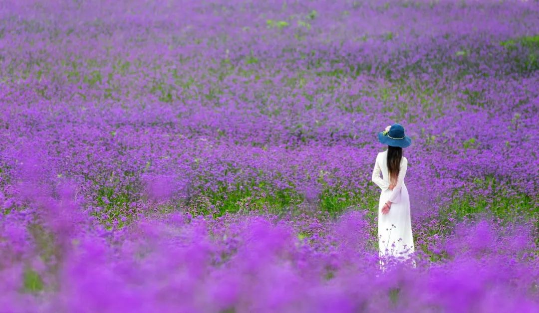 陳道明：為什麼那麼多女人喜歡我？（深度好文） 情感 第3張