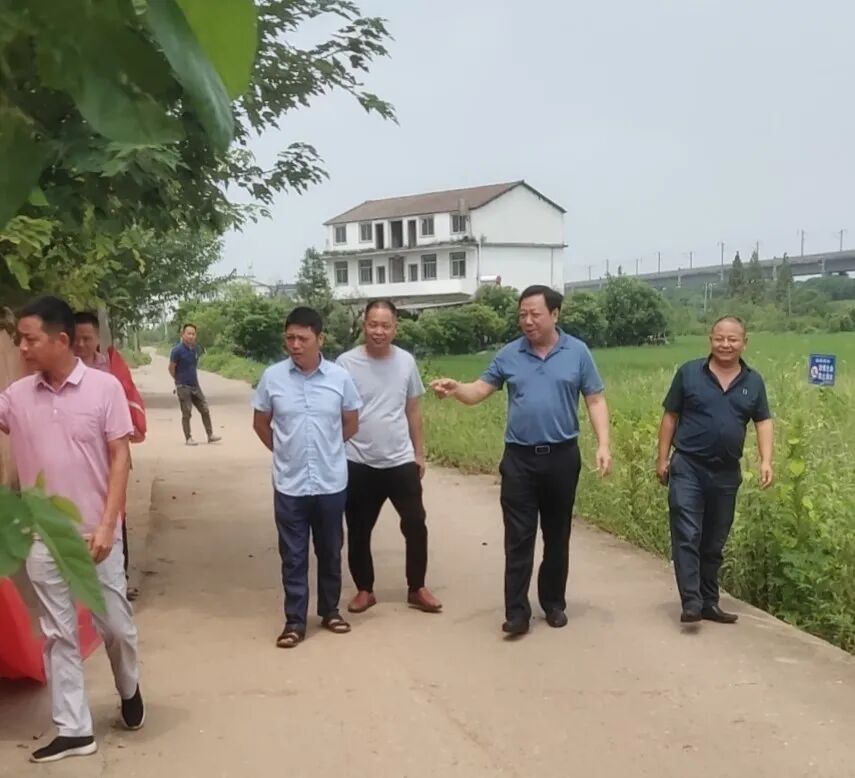 开展路长制活动 守护美丽新富山 _ 县域动态 _ 南昌县人民政府