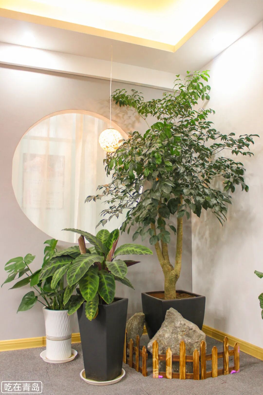 理疗熏蒸室怎么开周末来放松！按摩+古法熏蒸...⑤个项目90分钟，99元购！_https://www.jmylbn.com_新闻资讯_第45张