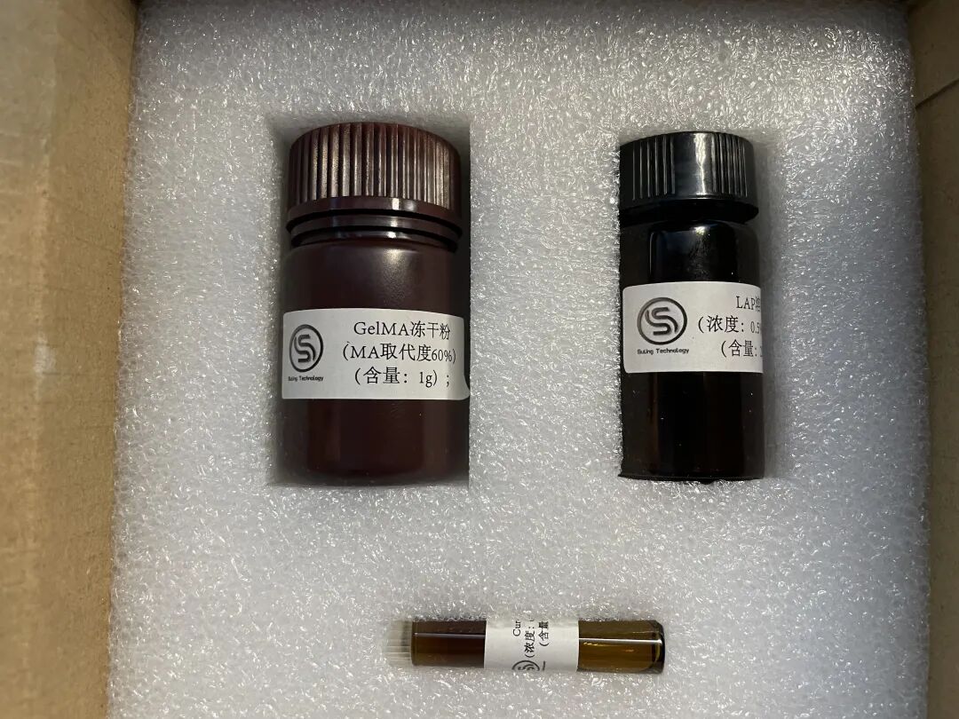 高精度生物3D打印水凝膠，解鎖生命健康多場景應(yīng)用