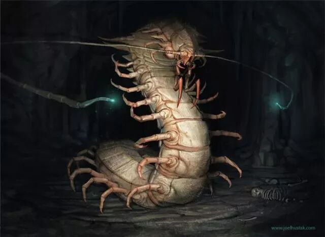 专割主力韭菜新浪博客_支付宝付款出现请警惕_盘子割韭菜