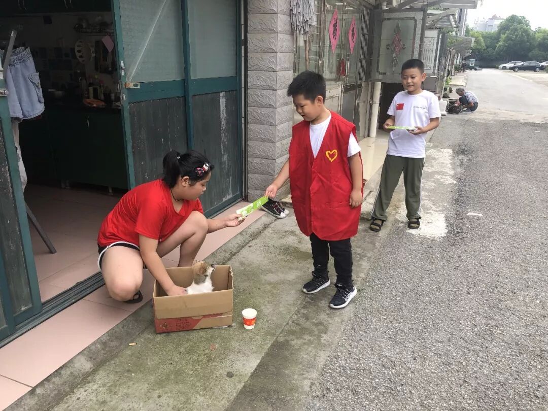 垃圾分类 新桥“青年号”青年志愿者走进康定社区