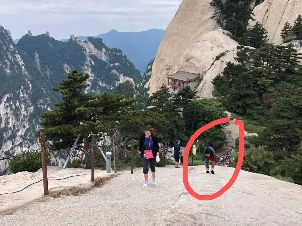 孩子暑假出门玩手机，浪费大脑训练的黄金期