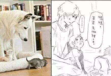 当猫系遇到犬系 简直不要太萌 Bl漫图 Bl耽美小说漫画 微信公众号文章阅读 Wemp
