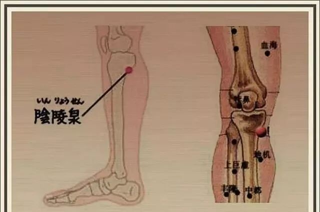 长夏健脾去湿 秋后养背活百岁|养生知识-南阳宛艾产业协会