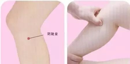 长夏健脾去湿 秋后养背活百岁|养生知识-南阳宛艾产业协会