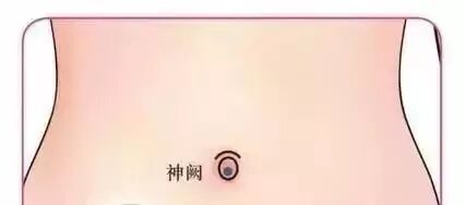 长夏健脾去湿 秋后养背活百岁|养生知识-南阳宛艾产业协会