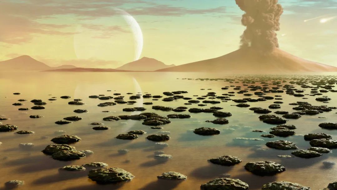 生物压力有哪些_生物层面的压力源_世间生物压力