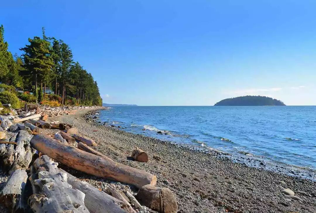 Sechelt距离西温哥华60公里，驱车加上轮渡时间共计2个小时。尽管这里也属于BC省内陆的一部分，但只能乘坐飞机或轮渡抵达，因而更为其增添了悠闲复古的魅力和岛屿风情。划桨、山地骑行、徒步、泛舟、潜水或在午后游览画廊都是颇受欢迎的活动，您还可以探索农贸市集或在僻静海滩享受悠然时光。