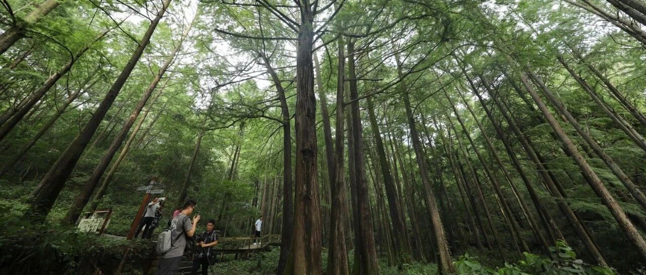 去山林避暑回来竟进了ICU！医生提醒：这几个柔软的“私密部位”特别容易中招