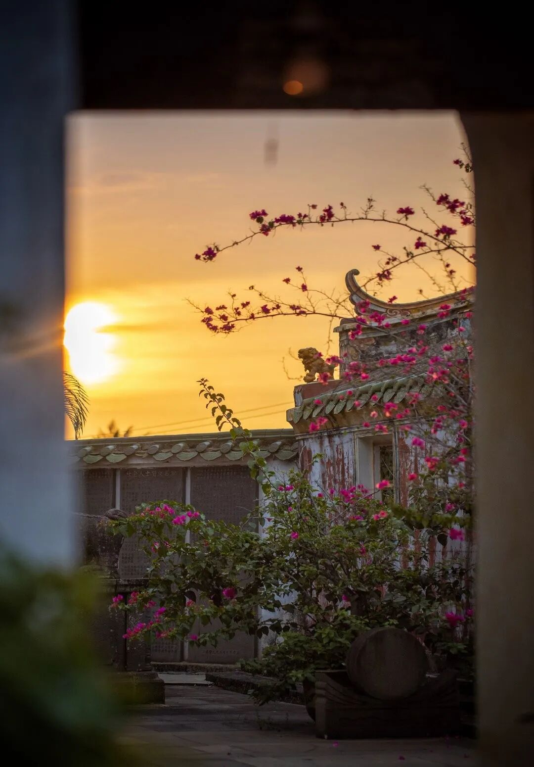 图片by：婷婷停YING