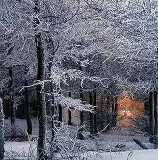 Tmag 发现旅行美好 遊历远方 心归是家