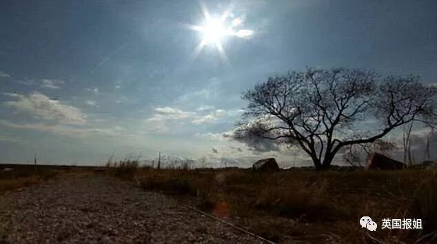 女兒神秘失蹤，父親一生找回400人，卻沒有她(組圖)