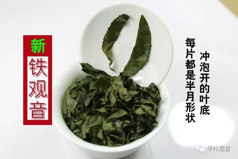 0版本茶葉來了!廖金練喊你重新認識鐵觀音【頭條】