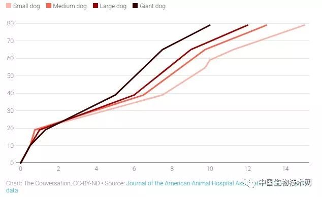 鏟屎官，你的狗（貓）多大了？