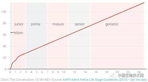 鏟屎官，你的狗（貓）多大了？