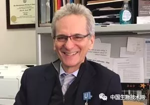 咖喱控的福利:姜黄素可以提高记忆,改善情绪 咖喱控的福利:姜黄素可以提高记忆,改善情绪