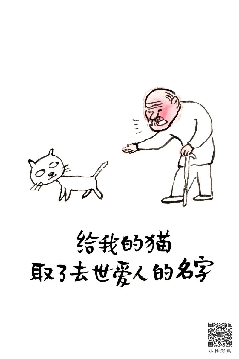 Gentle Cat Cuddling, Happy Dog Petting