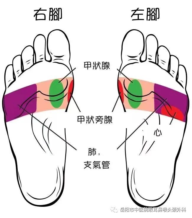 医讯怎么用【医讯】甲状腺结节可以用中医药调理吗？_https://www.jmylbn.com_新闻资讯_第5张