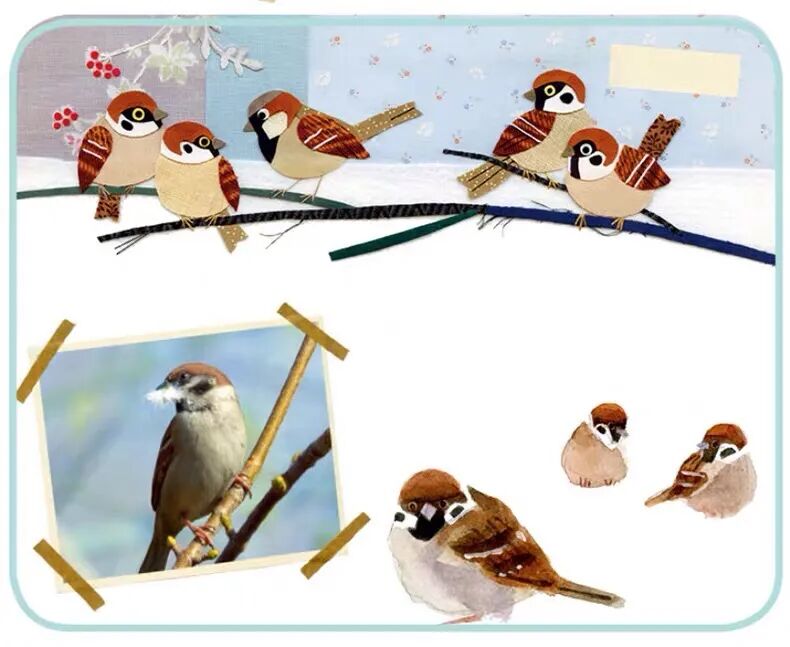 亲近春天|请收好这份踏青指导手册