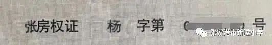 1592958849295418.jpg