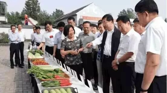 乡村振兴，扶贫攻坚再出发，VR全景带你看遍观摩点