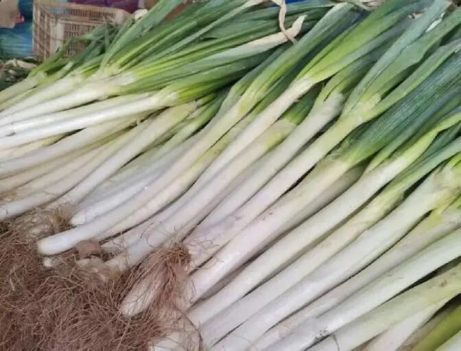 Screenshot_2025_0207_190659