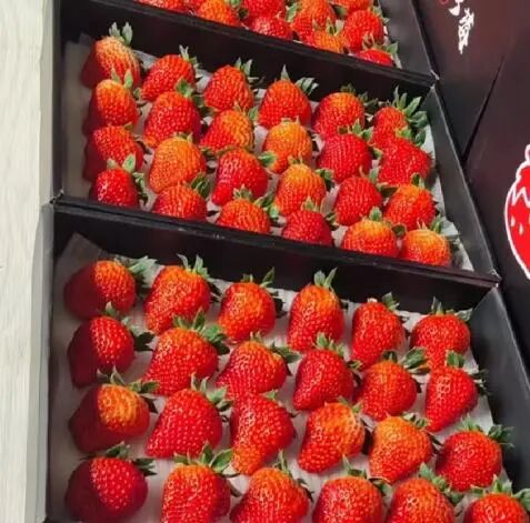 Screenshot_2025_0217_173722