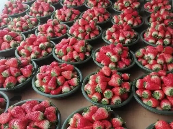 Screenshot_2025_0217_173218